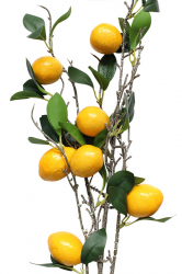 Заготовка для декора Ветка с лимоном, 1 м